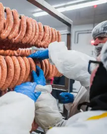 Equipo manipulando salchichas terminadas